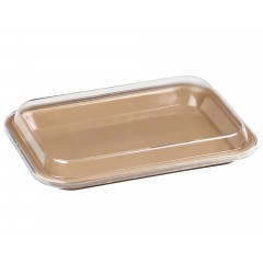 Plasdent FLAT TRAY SIZE F (Mini) - Dimensions: 9⅝" x 6⅝" x ⅞" - FLAME